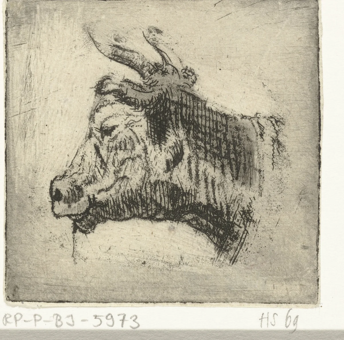 Kop van een koe by Louis Bernard Coclers, print, 1756-1817