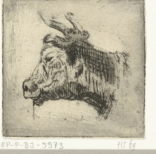 Kop van een koe by Louis Bernard Coclers, print, 1756-1817