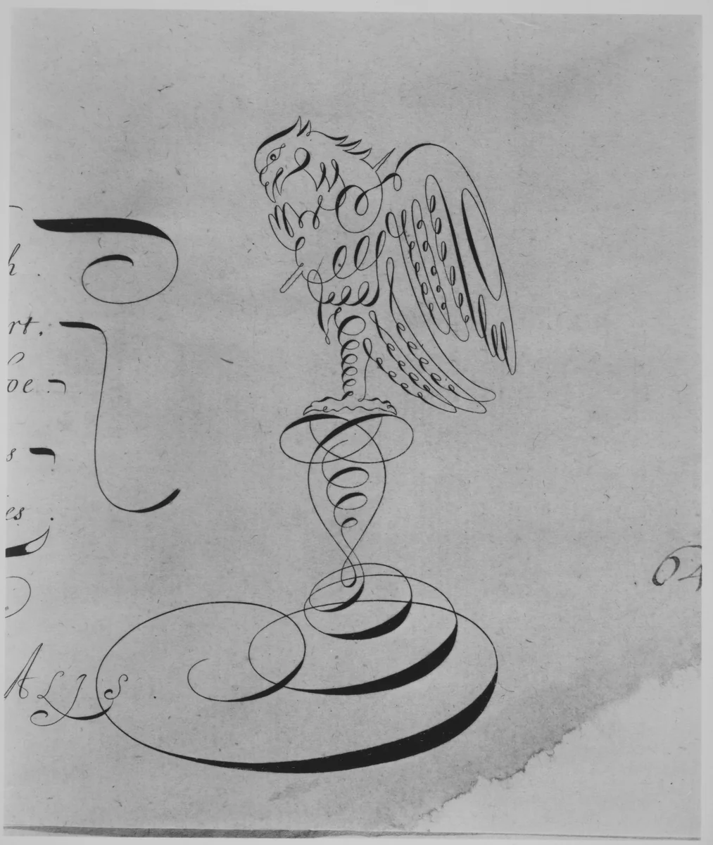 Daniel's Copy-Book: Or, a Compendium of the Most Usual Hands of England, Netherland, France, Spain and Italy...Together with sundry Portraitures of Men, Beasts, and Birds... by Richard Daniel, book, 1664