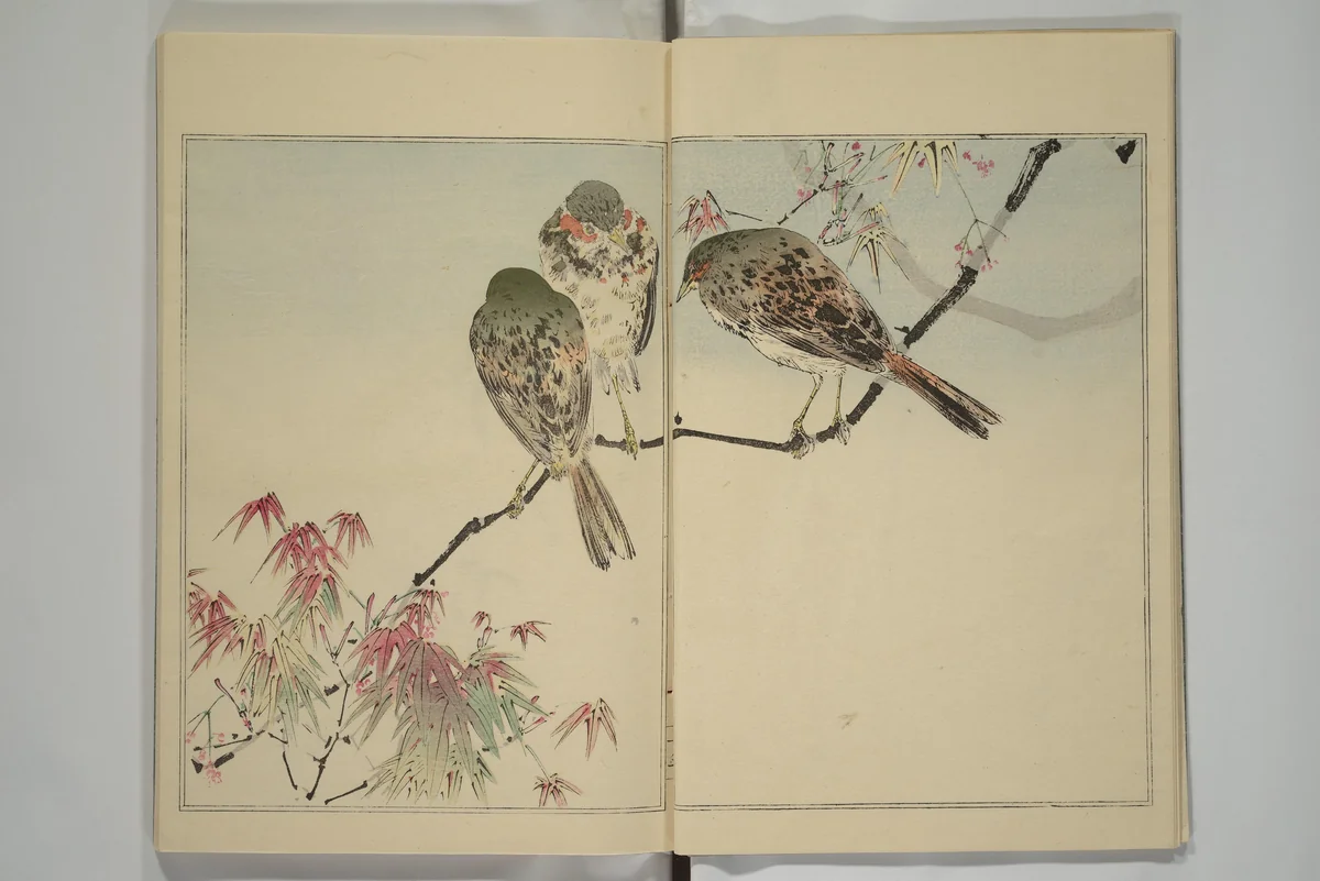 Picture Album of Birds and Flowers (Kachō gafu) 華鳥画譜 by Watanabe Seitei (渡辺省亭), book, 1903