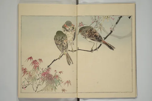 Picture Album of Birds and Flowers (Kachō gafu) 華鳥画譜 by Watanabe Seitei (渡辺省亭), book, 1903