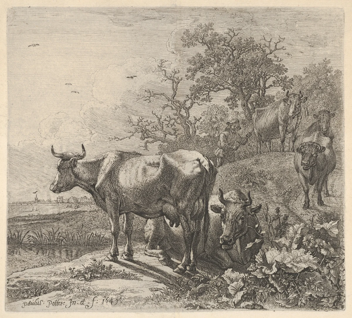 Cowherd driving three horned cattle before him; below, in the foreground, a recumbent steer and a standing steer, marsh and trees beyond by Paulus Potter, print, 1649