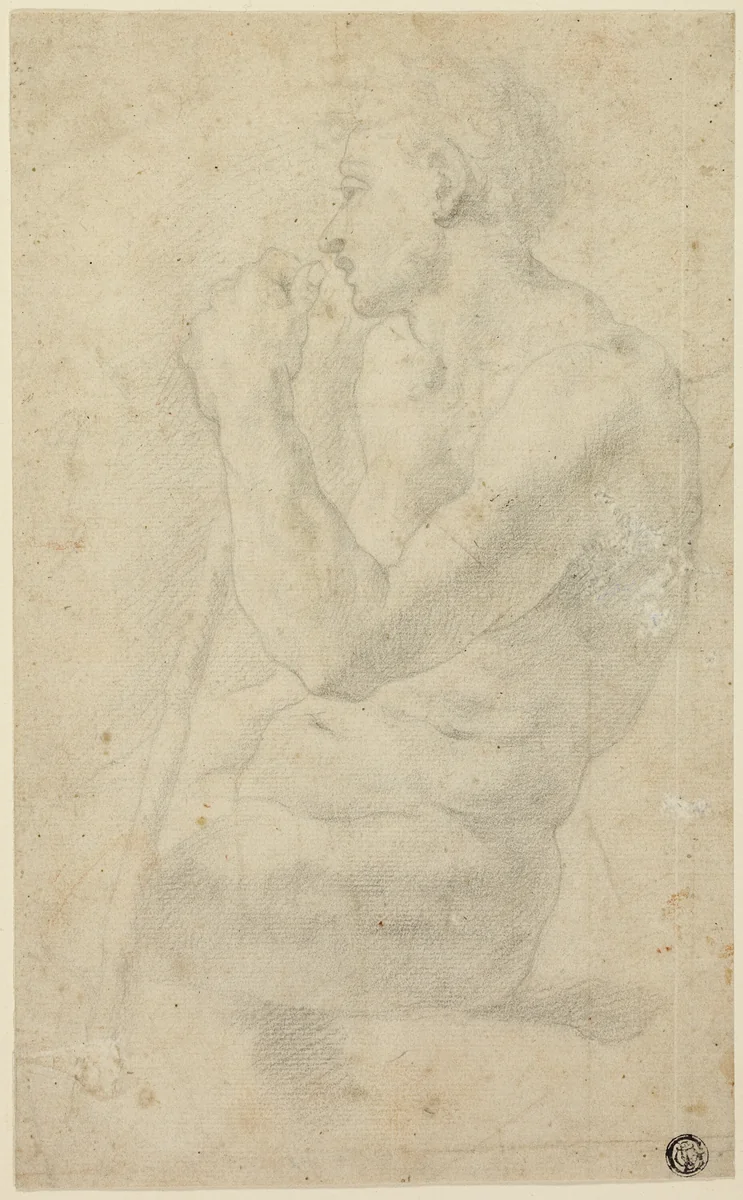Academic Male Nude by Agnolo Bronzino, drawing, 1565-1575