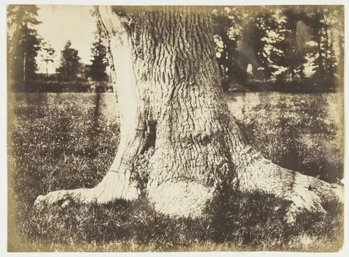 Untitled by Benjamin Brecknell Turner, photograph, 1852