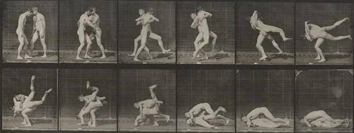 Plate Number 347. Wrestling, Graeco-Roman by Eadweard Muybridge, photograph, 1887
