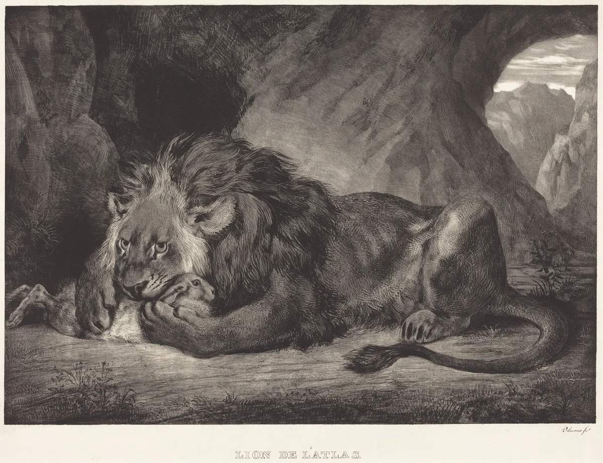 Lion of the Atlas Mountains (Lion de l'Atlas) by Eugène Delacroix, print, 1829