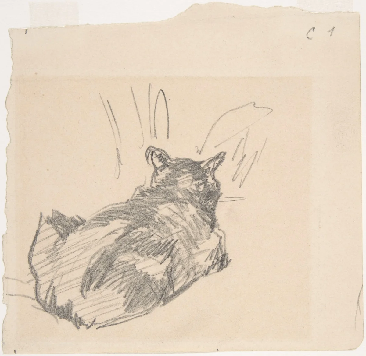 A Cat Resting on All Fours, Seen from Behind by Edouard Manet, drawing, 1861