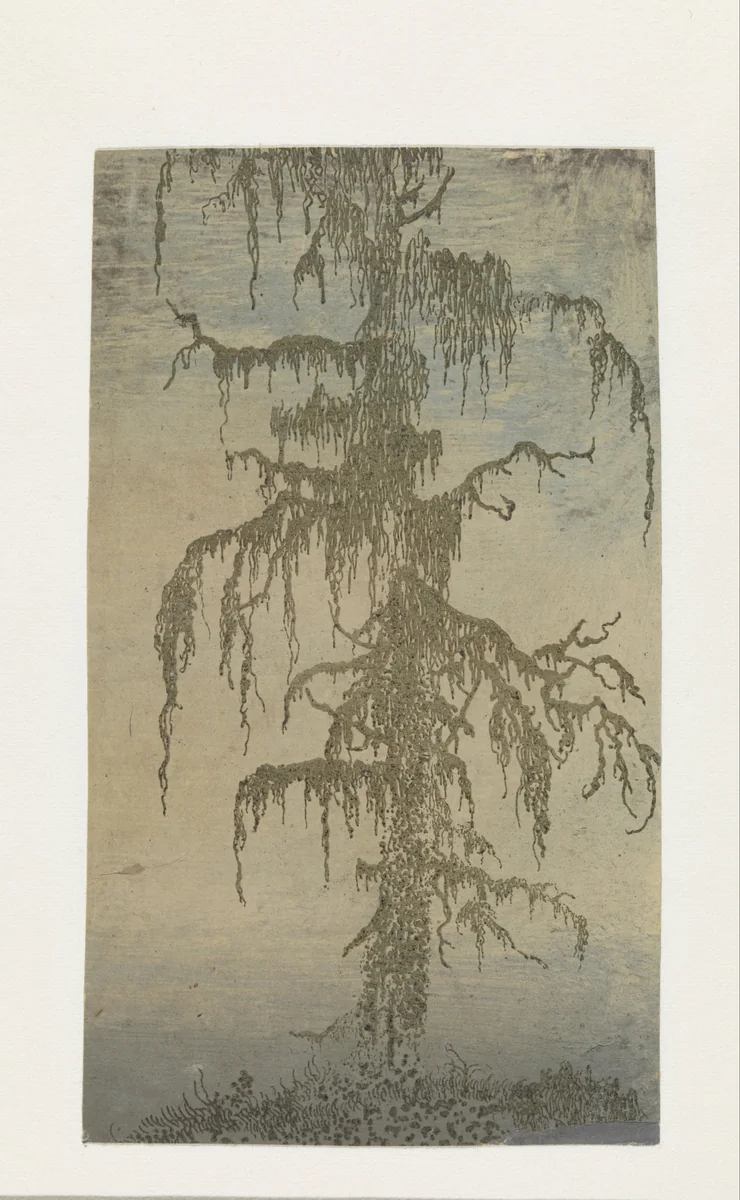 The Mossy Tree by Hercules Segers, print, 1625-1630