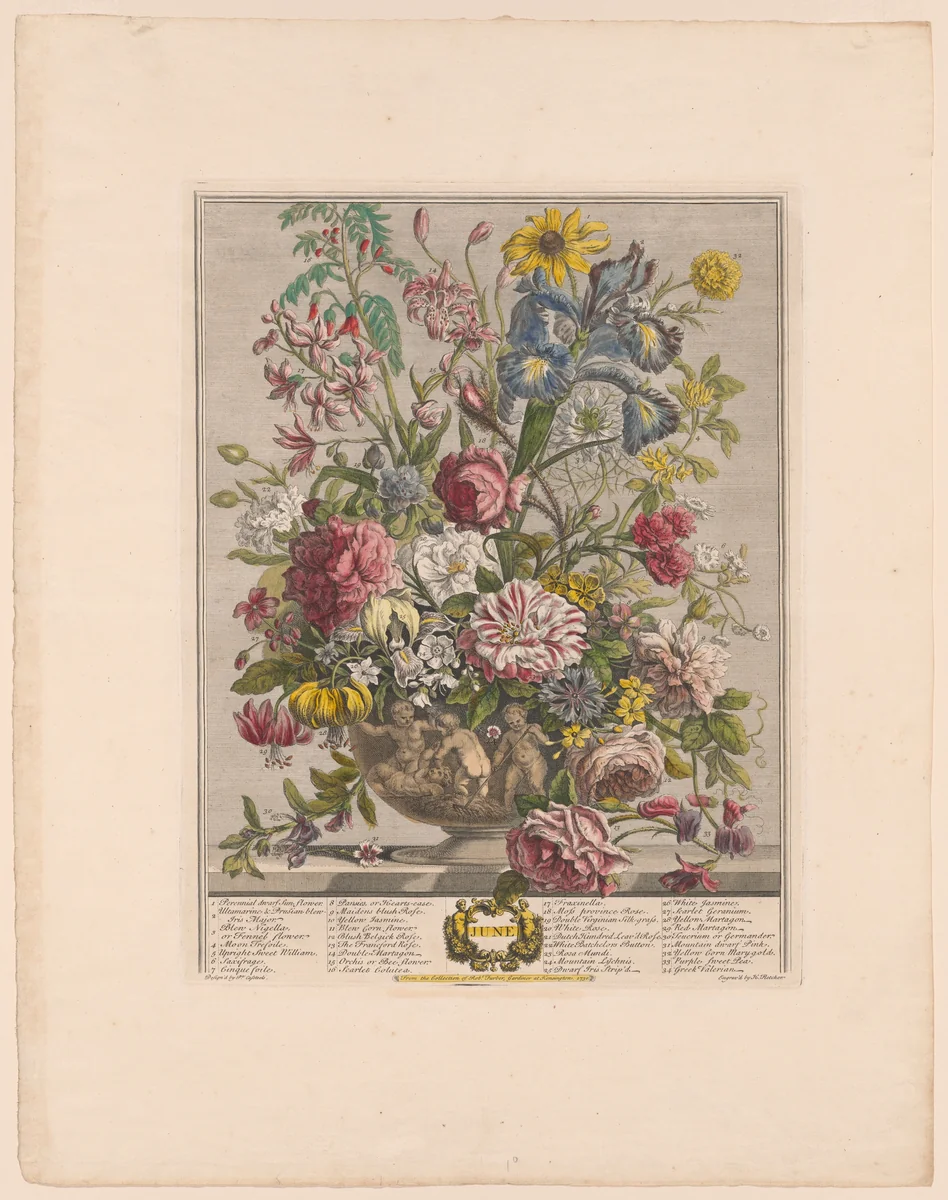 June, from Twelve Months of Flowers by Henry Fletcher
Peter Casteels III, print, 1730-1750