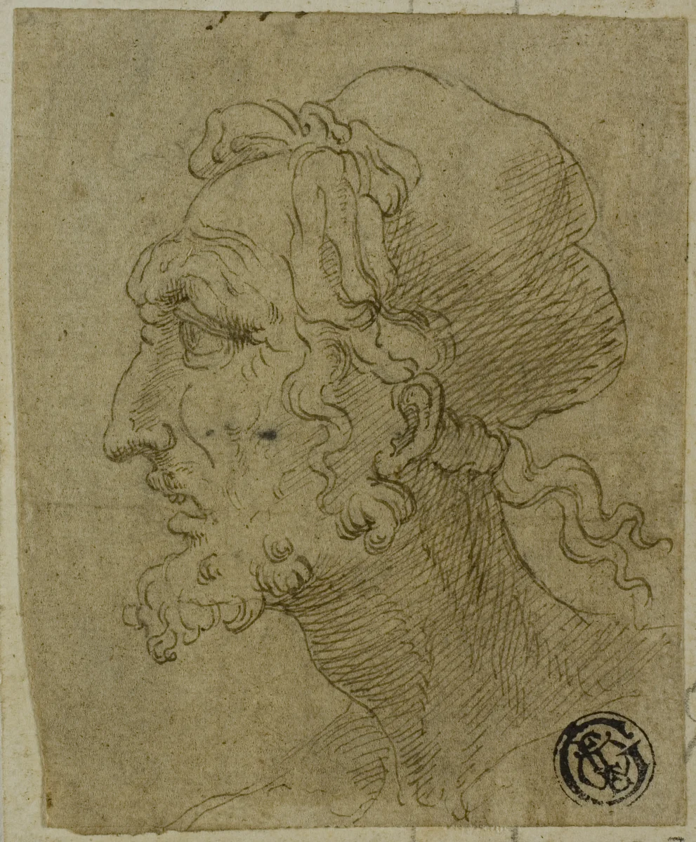 Male Head in Profile by Baldassare Peruzzi, drawing, 1501-1536