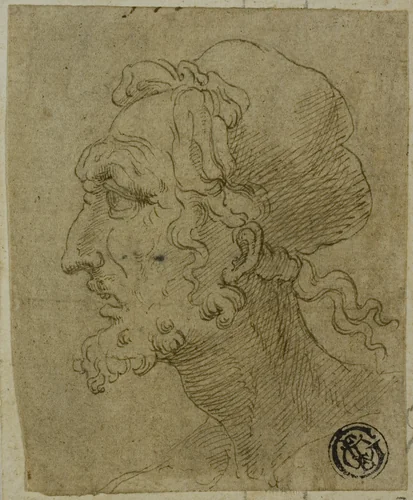Male Head in Profile by Baldassare Peruzzi, drawing, 1501-1536