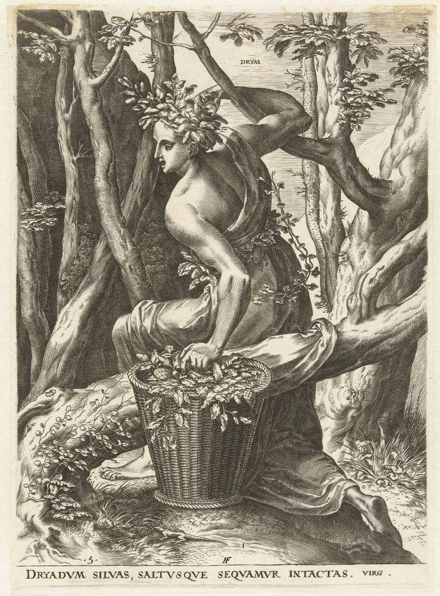 Dryas by Cornelis Cort, print, 1564