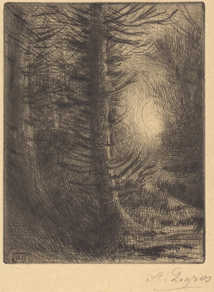 Woods in Winter Sun, 1st plate (Soleil d'hiver dans les bois) by Alphonse Legros, print, 1837-1911