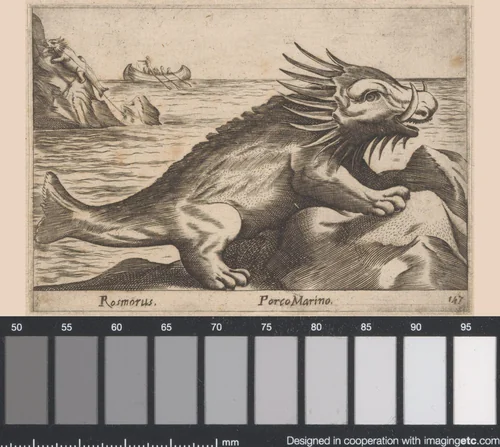 Zeevarken by Antonio Tempesta, print, 1565-1630