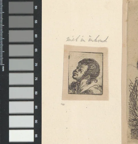 Hoofd van een jongen by anonymous, book, 1625-1807