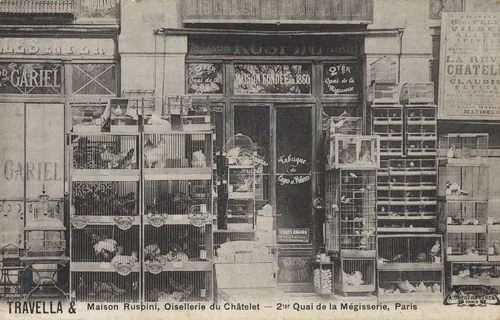 Maison Ruspini, Oisellerie du Châtelet by Unidentified Photographer, photograph, 1905