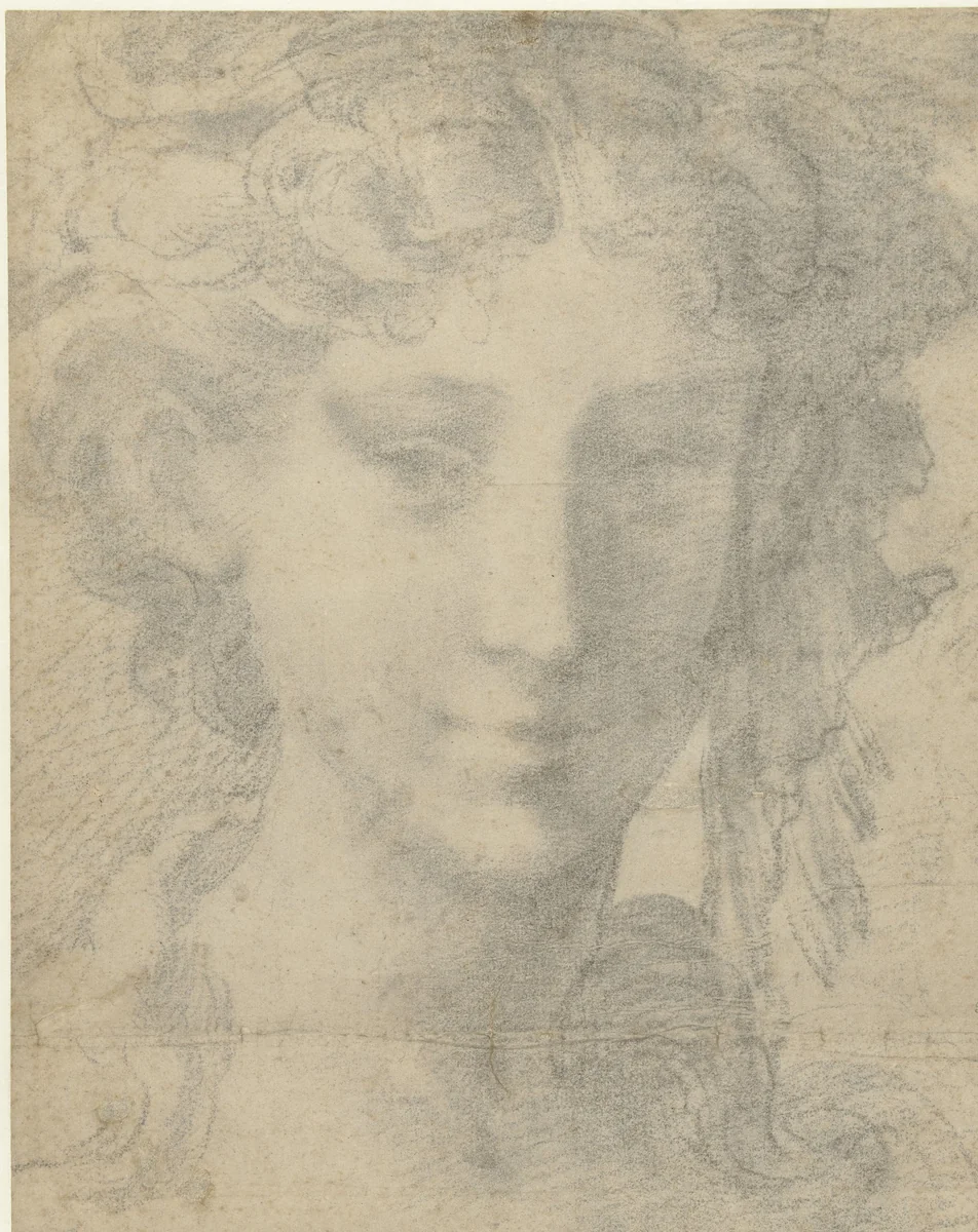Untitled by Parmigianino, drawing, 1530-1535
