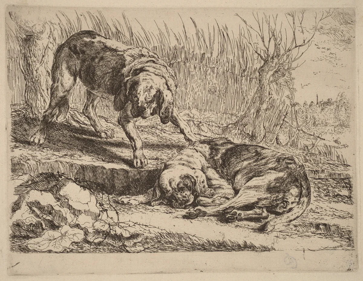 Two Beagles, One Sleeping by Jan Fyt, print, 1642