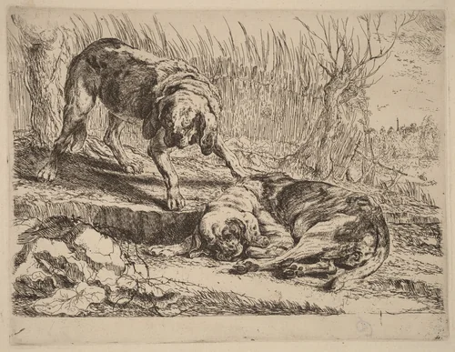 Two Beagles, One Sleeping by Jan Fyt, print, 1642