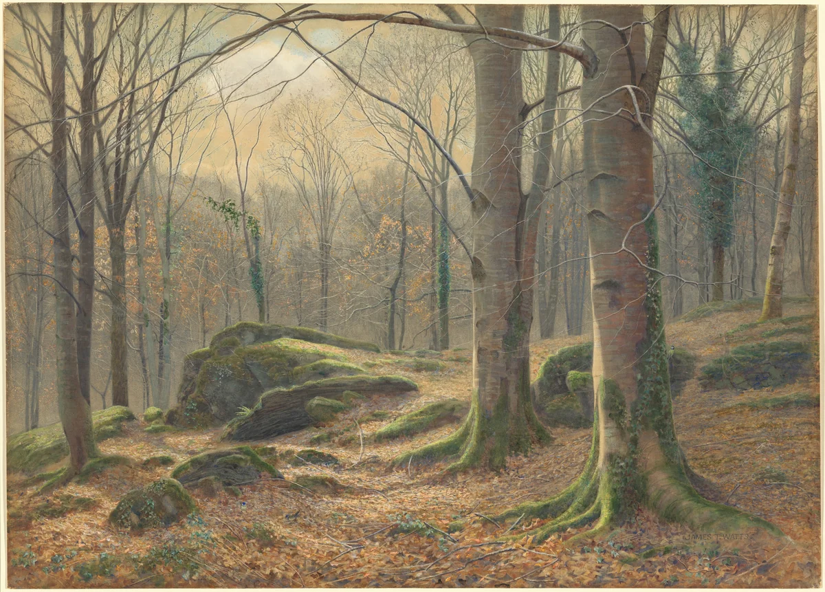 A Winter Morning, Hoar Frost Melting by James Thomas Watts, drawing, 1892