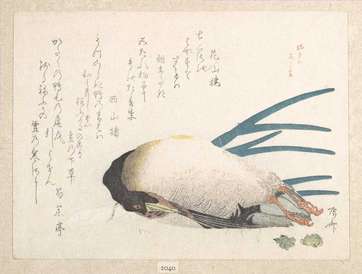 Spring Rain Collection (Harusame shū), vol. 1: Duck and Scallions by Ryūryūkyo Shinsai (柳々居辰斎), print, 1810-1819