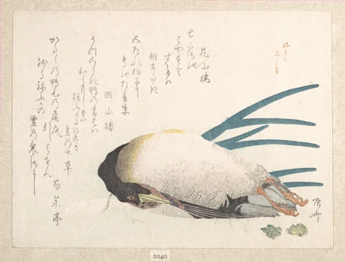 Spring Rain Collection (Harusame shū), vol. 1: Duck and Scallions by Ryūryūkyo Shinsai (柳々居辰斎), print, 1810-1819