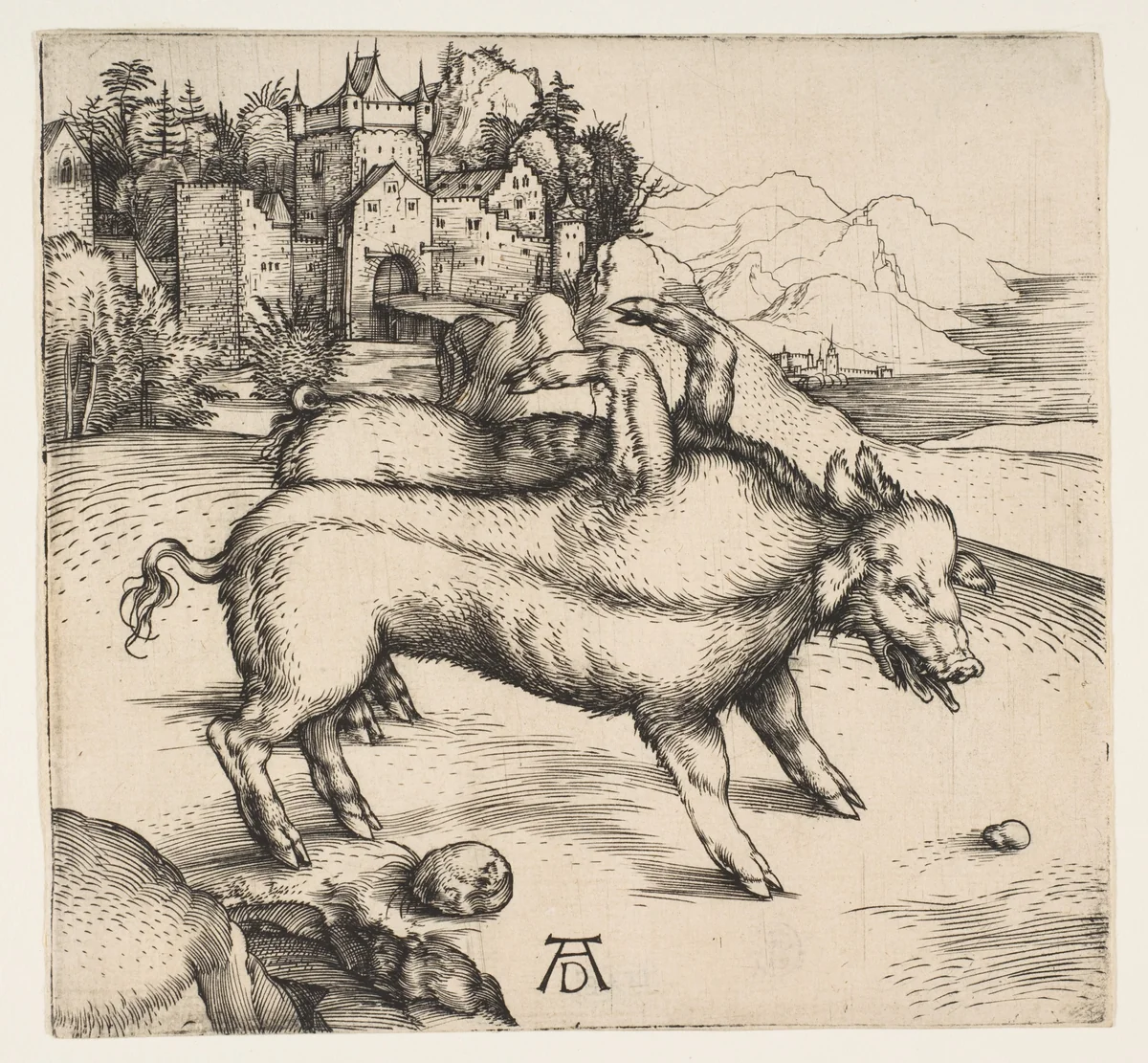 The Monstrous Pig of Landser by Albrecht Dürer, print, 1496