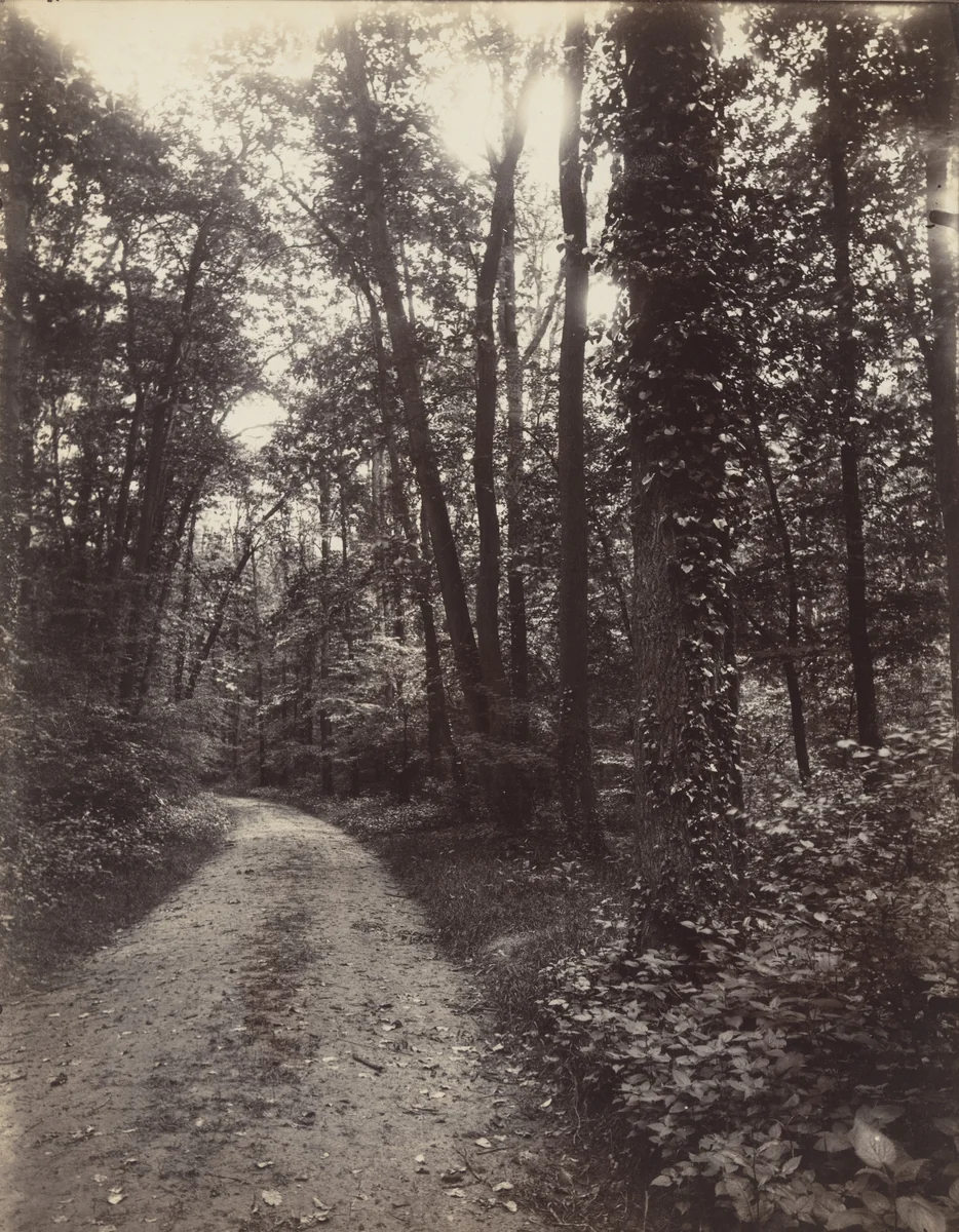 Saint-Cloud by Eugène Atget, photograph, 1923