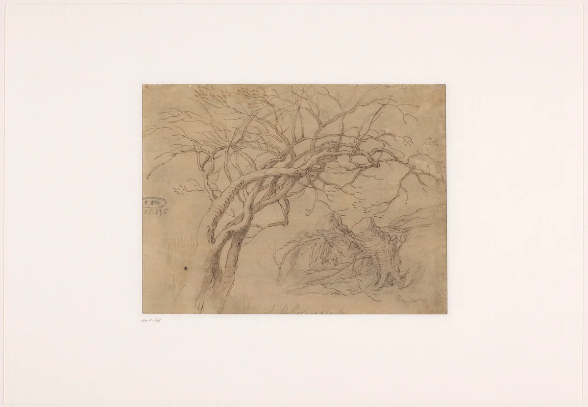 Studies van boomtakken en boomstronken by Abraham Bloemaert, drawing, 1625-1629