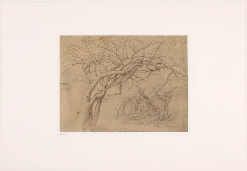 Studies van boomtakken en boomstronken by Abraham Bloemaert, drawing, 1625-1629