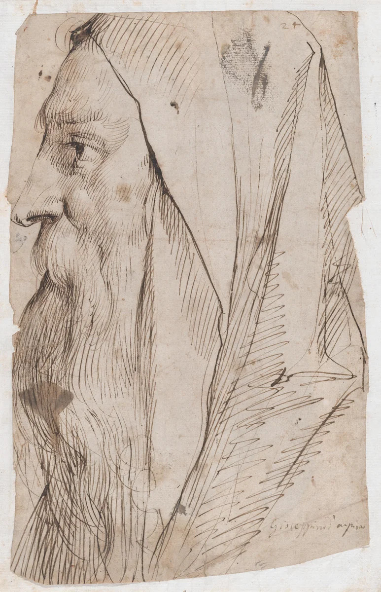 Head of a Bearded Man Wearing a Hood in Profile Facing Left by Giuseppe Cesari, drawing, 1636-1638