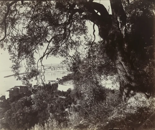 Menton by Eugène Atget, photograph