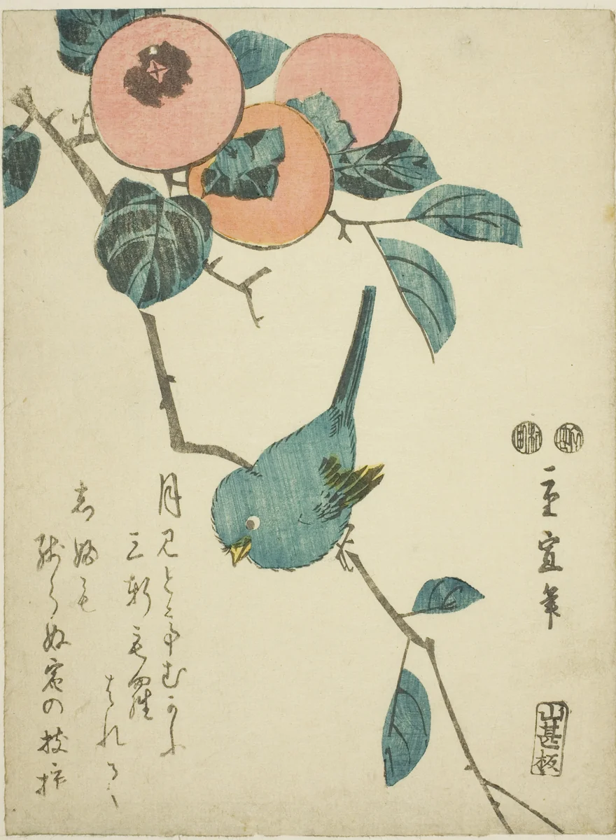 Japanese white-eye and persimmons by Utagawa Hiroshige II (二代目歌川広重), print, 1842-1857