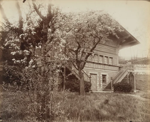 Parc Delessert by Eugène Atget, photograph, 1914