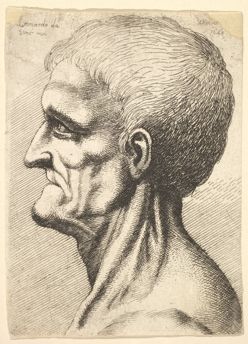 Head of a toothless man with bare, sinewy neck in profile to left by Wenceslaus Hollar, print, 1648