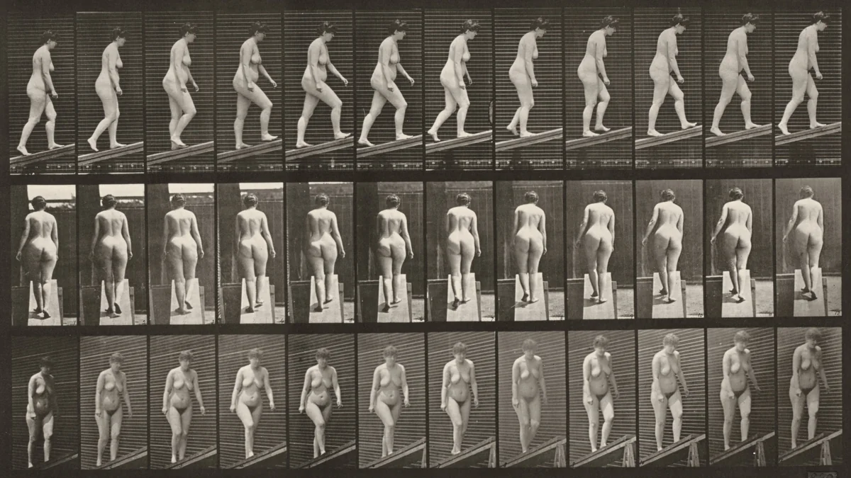 Plate Number 77. Ascending an incline by Eadweard Muybridge, photograph, 1887