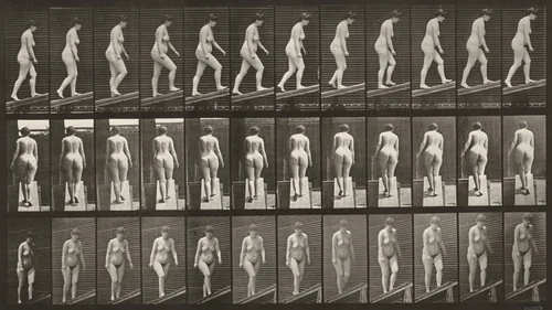 Plate Number 77. Ascending an incline by Eadweard Muybridge, photograph, 1887