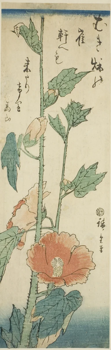 Hibiscus by Utagawa Hiroshige (歌川広重), print, 1838-1852