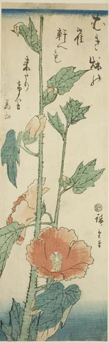 Hibiscus by Utagawa Hiroshige (歌川広重), print, 1838-1852