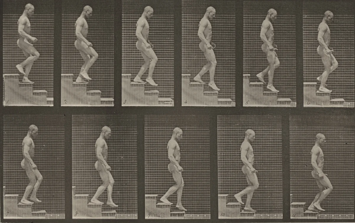 Plate Number 126. Descending stairs by Eadweard Muybridge, photograph, 1887