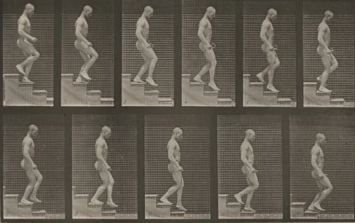 Plate Number 126. Descending stairs by Eadweard Muybridge, photograph, 1887