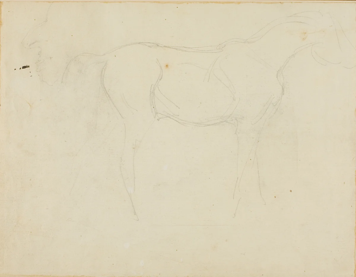 Sketch of a Horse Facing Right and a Caricature in Profile by Jean Louis André Théodore Géricault, drawing, 1818-1819