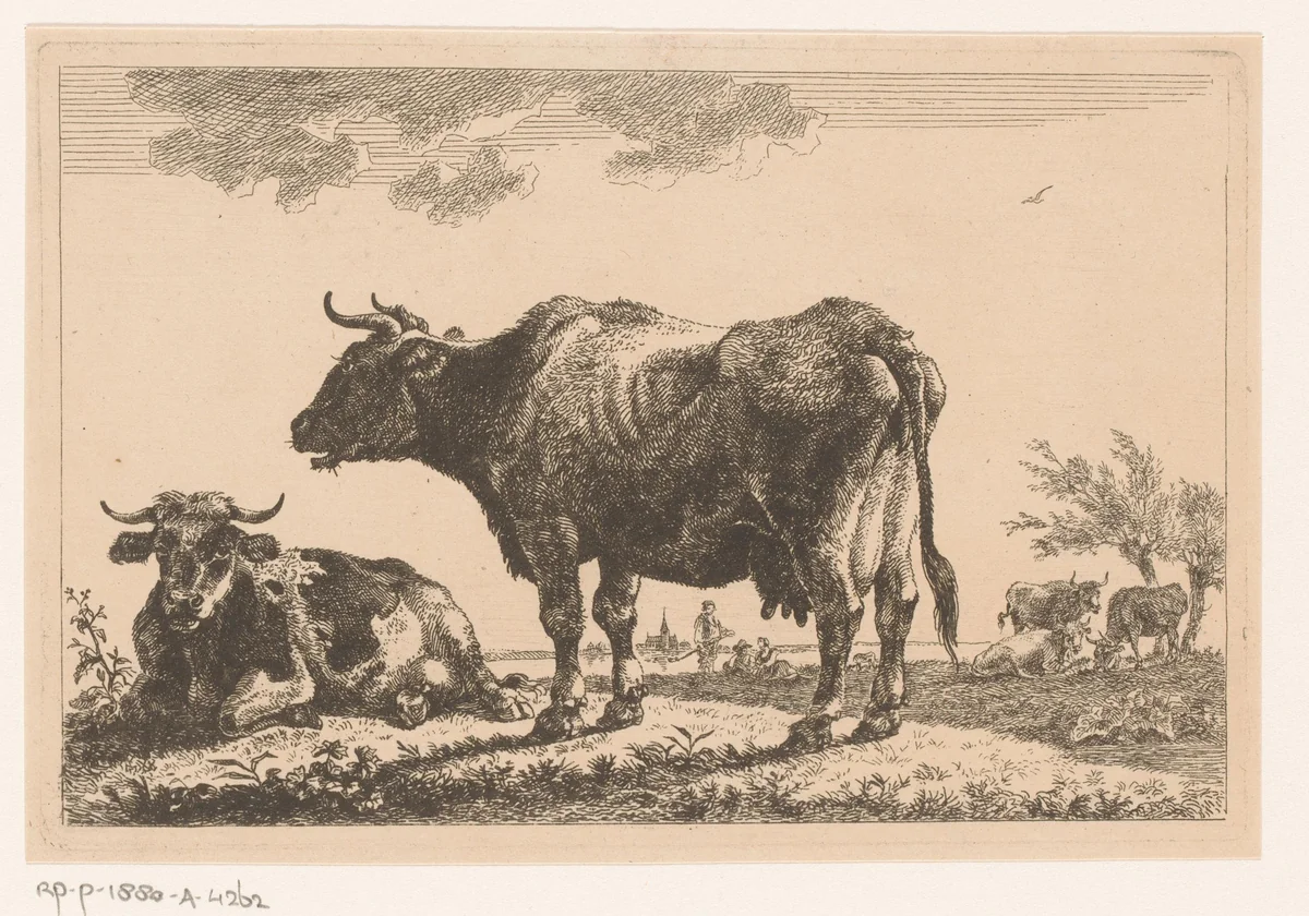 Twee runderen in de weide by Jean Baptiste de Roy, print, 1769-1839