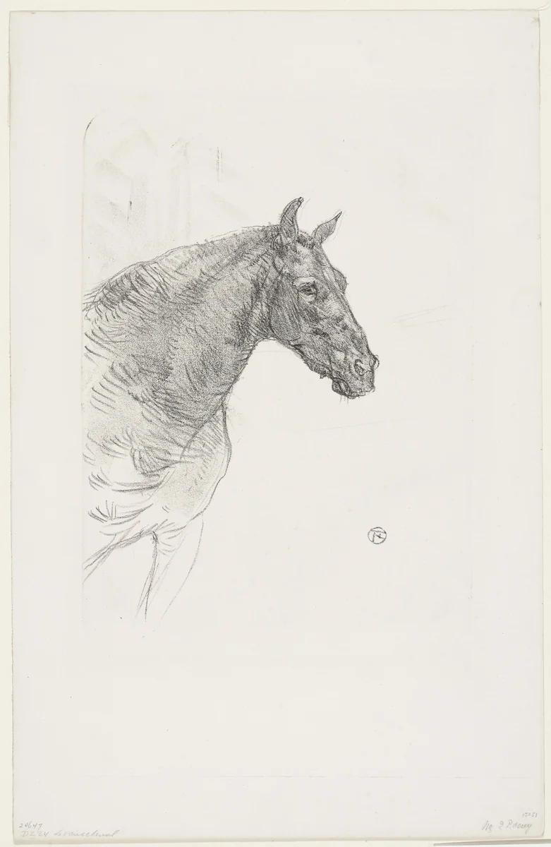 Philibert the Pony (Le poney Philibert) by Henri de Toulouse-Lautrec, print, 1898