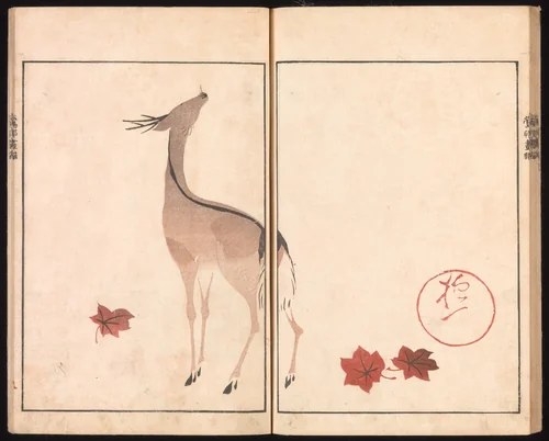 Ōson (Hōitsu) Picture Album (Ōson gafu) by Sakai Hōitsu (酒井抱一), book, 1817