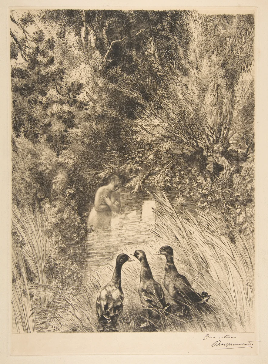 Canards surpris by Félix Bracquemond, print, 1882-1889