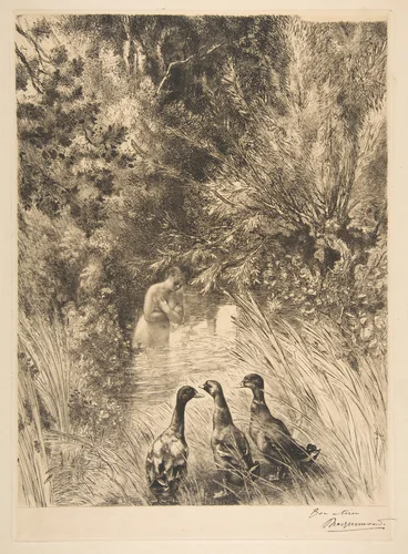 Canards surpris by Félix Bracquemond, print, 1882-1889