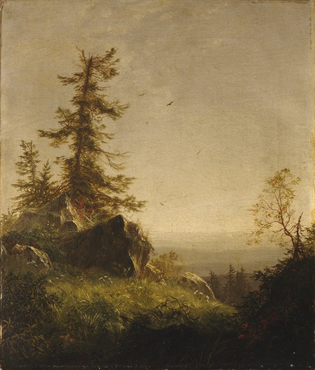 Morning on the Mountain by Richard William Hubbard, artwork, 1856