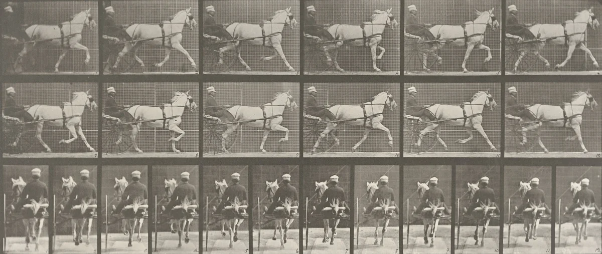 "Katydid" Trotting, Harnessed to Sulky: Plate 611 from Animal Locomotion (1887) by Eadweard Muybridge, photograph, 1884
