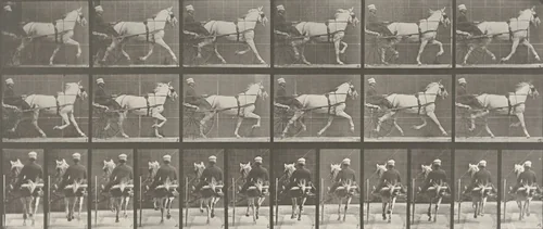 "Katydid" Trotting, Harnessed to Sulky: Plate 611 from Animal Locomotion (1887) by Eadweard Muybridge, photograph, 1884